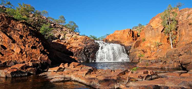 
                      Natural Wonders of the Outback
                      